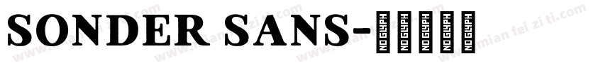 Sonder Sans字体转换